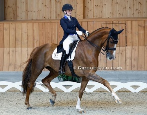 Nanna Skodborg Merrald on Bonsai, winners of the 7-year old division, at the 2026 Danish Young Horse Championships which were held last year in Martofte :: Photo © Ridehesten