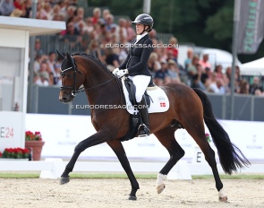 Carina Cassoe Kruth and Svalegards Hot Driver at the 2025 World Young Horse Championships :: Photo © Astrid Appels