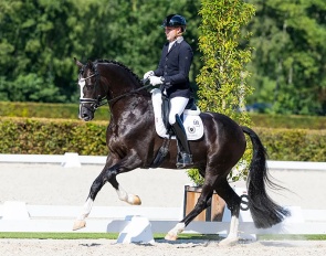 Gerrel Vink and So You Can Dance in the 2026 Pavo Cup Semi Finals :: Photo © Digishots