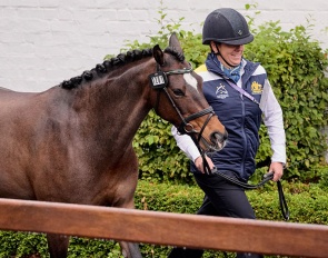 Bridget Murphy's Penmain Promise was successfully trotted up today at the vet inspection before Murphy's withdrawal :: Photo © FEI/Liz Gregg