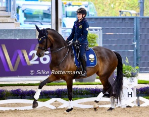 Swedish Grade 3 rider Pam Svane’s mare Raja has gained expression and muscle bulk since she turned up on the para scene 2025 :: Photos © Silke Rottermann