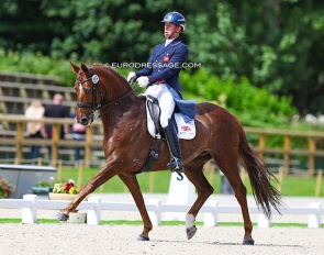 Dan Watson and Butterfly at the 2022 CDIO Compiegne :: Photo © Astrid Appels