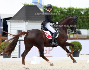 Andrina Suter and Del Curto at the 2025 CDIO Lier :: Photo © Astrid Appels