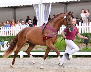 Fortuna (by For Romance x Don Diamond) :: Photo © Björn Schroeder
