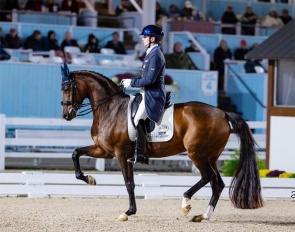 Kevin Kohmann and Sonata MF at the 2026 CDI-W Devon :: Photo © Bethany P