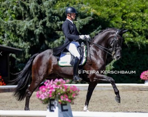 Peter Gmoser and Dante's Daiquiri at the 2026 Austrian Dressage Championships at RC Auhof in Fernitz :: Photo © Petra Kerschbaum