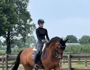 Pem Verbeek and Escadeur schooling at home :: Photo © private