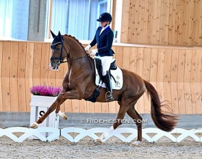 Viva Vegas Wins the 2024 Danish Young Horse Championships :: Photo (c) Ridehesten