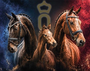 2026 Oldenburg Autumn Elite Auction on 3 October 2026