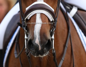Photo as illustration :: Photo © Astrid Appels