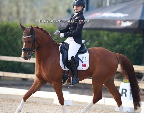 Mira Antonsen Hjelle and Filur af Groenagergaard at the 2022 CDI Sint-Truiden :: Photo © Astrid Appels