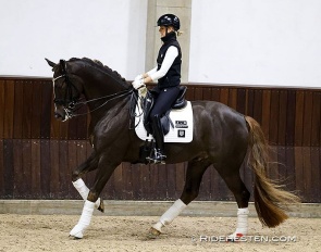 Janni Dietz on Grand Quest-Bell in a clinic at Slangerupgaard  :: Photo © Ridehesten