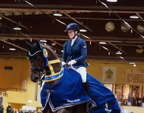 Linn larsson on Ironesse VH at the 2026 Swedish Young Horse Championships :: Photo © Vendela Henriksson