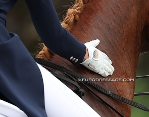 Hand patting horse :: Photo © Astrid Appels