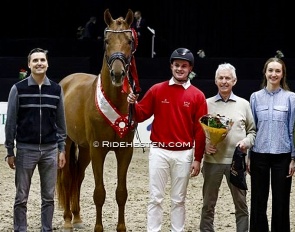 Venture (by Vivaldos x Revolution) :: Photo © Ridehesten