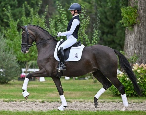 Bontasia PS (by Bonjour x Top Gear x Fürst Romancier) 