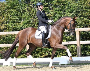 Baileys Krack van het Klaverhof (by Bonds x Romanov x Krack C) :: Photo © OLD Art