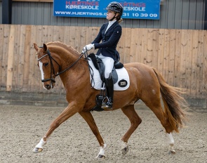 Valegro (by Voyager x Der Feine Lord)
