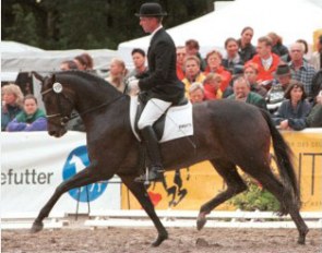 Hans Heinrich Meyer zu Strohen on Poetin at the 2000 Bundeschampionate :: Photo © Steven Stegen