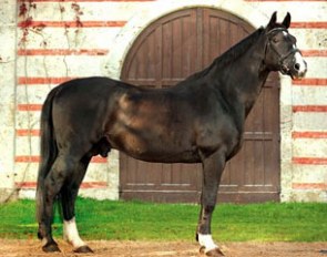 Fleiner (by Flirt x Grande x Argus)