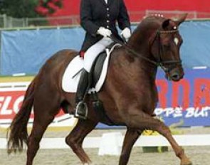 Suzanne Davies and Keystone Dimaggio at the 2000 World Young Horse Championships in Arnheim :: Photo © Dirk Caremans