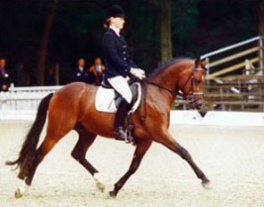 Don Joshi at the 2001 Bundeschampionate