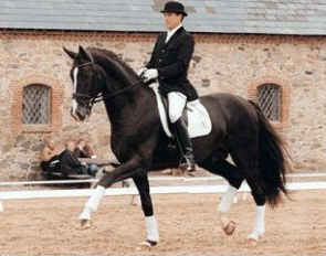 Lars Petersen on Blue Hors Don Schufro