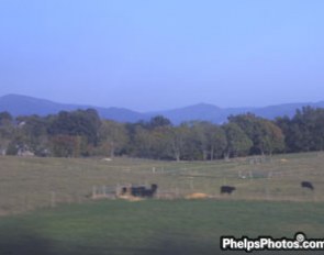 The Virginia scenery on the road to Devon