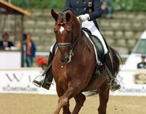 Ulla Salzgeber on Rusty at the 2001 European Championships :: Photo © Dirk Caremans