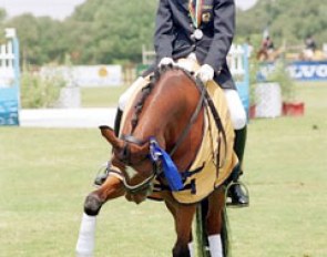 Dutch pony rider Inge Verbeek with Hogewald's Sultan