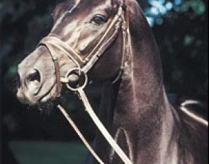Donatelli