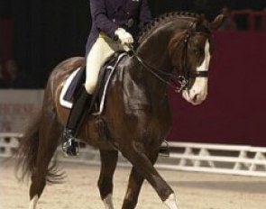 Jan Brink and Bjorsells Briar at the 2001 CDI-W Paris :: Photo © Dirk Caremans