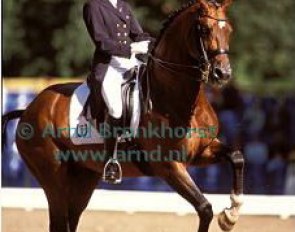 Marlies van Baalen and Idocus at the 2001 CDIO Rotterdam :: Photo © Arnd Bronkhorst