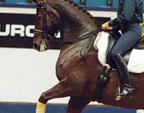 Ulla Salzgeber schooling Rusty :: Photo © Dirk Caremans