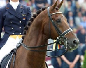 Tineke Bartels and Jazz at the 2002 CDIO Aachen :: Photo © Dirk Caremans