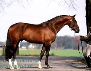 Marlies van Baalen and Idocus :: Photo © Arnd Bronkhorst