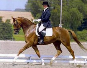 Angelique Hostyn on Ragtime Princess