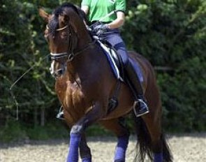 Lisa Wilcox on Gestut Vorwerk's Rosier :: Photo © Roz Neave