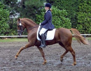 Hanna de Wit on Derengo