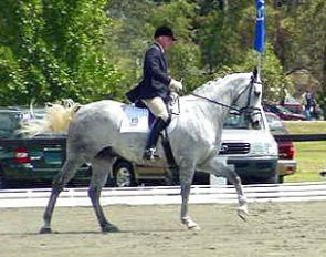 Roger Fitzhardinge on Berkeley Castle at the CDI Sydney in 2002 :: Photo © Berni Saunders