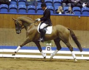 Morten Thomsen and Don Win the 2002 Danish Young Horse Championships :: Photo © Ridehesten.com
