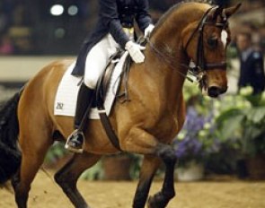 Ingrid Klimke on Nector van het Carelshof :: Photo © Dirk Caremans