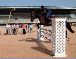 First riders test the footing in the Chapin Stadium in Jerez de la Frontera
