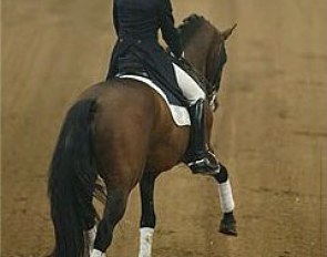Krack C at the 2002 Zwolle International Stallion Show :: Photo © Dirk Caremans