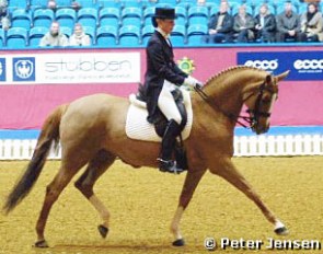 Fiona Bigwood on Habana at the 2003 CDI Aarhus :: Photo © Peter Jensen