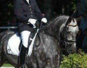 Petra Stroetmann-Epping on Wellington at the 2003 Bundeschampionate :: Photo © Photec.de