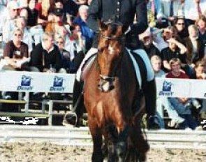 Christine Traurig and Limited Edition at the 2003 Bundeschampionate