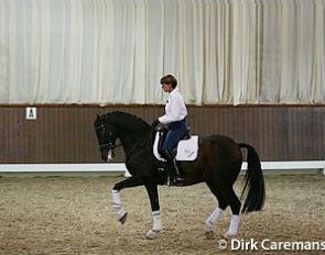 Ulla Salzgeber and Wall Street at the 2003 Global Dressage Forum :: Photo © Dirk Caremans