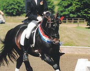 Lorna Edmonds on British FEI pony Manitu N