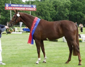 Fabina, champion of the 2003 Oldenburg Elite Mare Show in Rastede